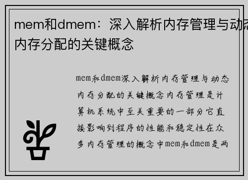 mem和dmem：深入解析内存管理与动态内存分配的关键概念